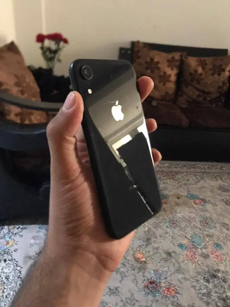 iphone xr|موبایل|مشهد, چهارچشمه|دیوار