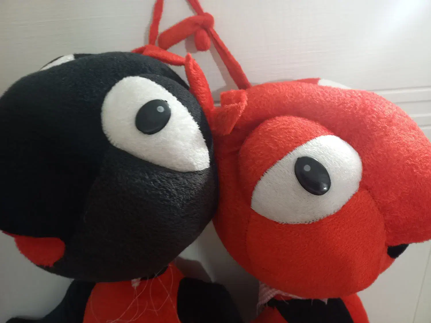 عروسک مورچه ای بزرگ|اسباببازی|تبریز, |دیوار