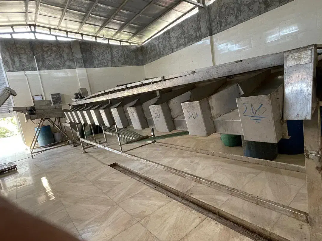 دستگاه سرند زیتون بی هسته و دستگاه پاستوردیگ پاتیل|ماشین‌آلات صنعتی|گیلوان, |دیوار