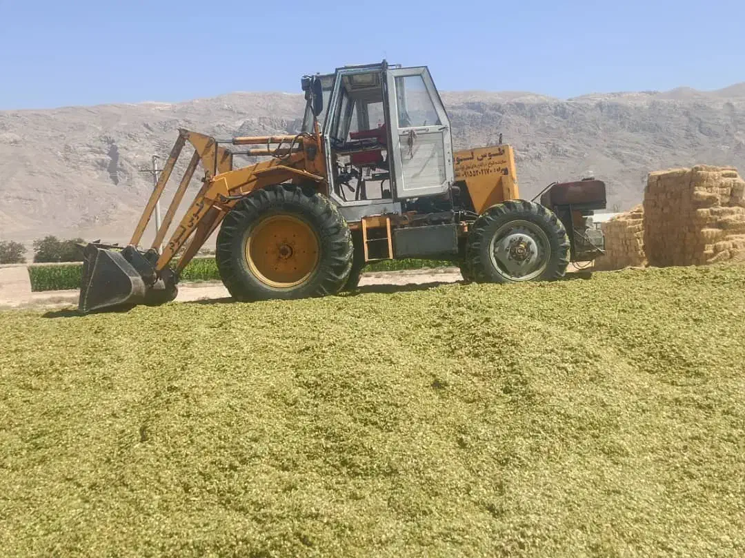 تراکتور بیلی|خودرو سنگین|شهرضا, |دیوار