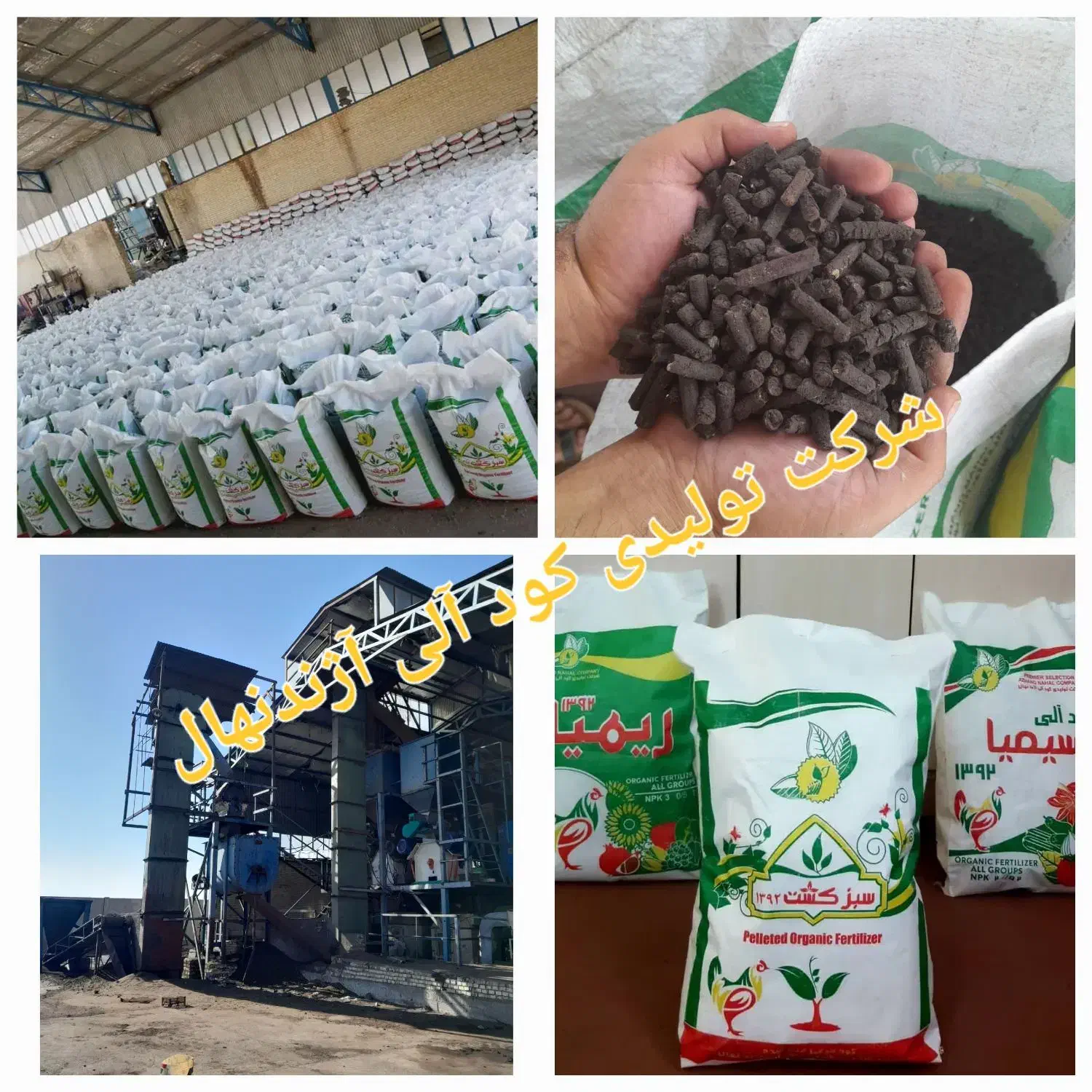 پلت مرغی غنی شده با Npk|خدمات باغبانی و درختکاری|یزد, |دیوار