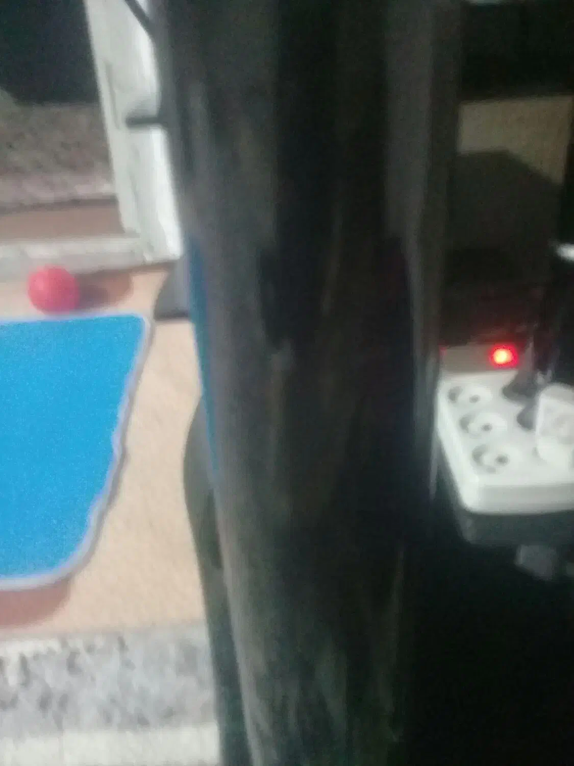 خرید وفروش نی اهوازی وحصیری|خدمات باغبانی و درختکاری|آزادشهر, |دیوار