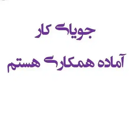 جویای کار حسابداری|خدمات مالی، حسابداری، بیمه|بیرجند, |دیوار