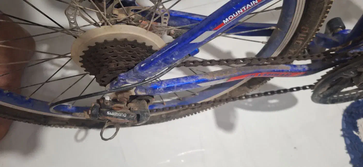 دوچرخه المپیا سایز ۲۴|دوچرخه، اسکیت، اسکوتر|میناب, |دیوار