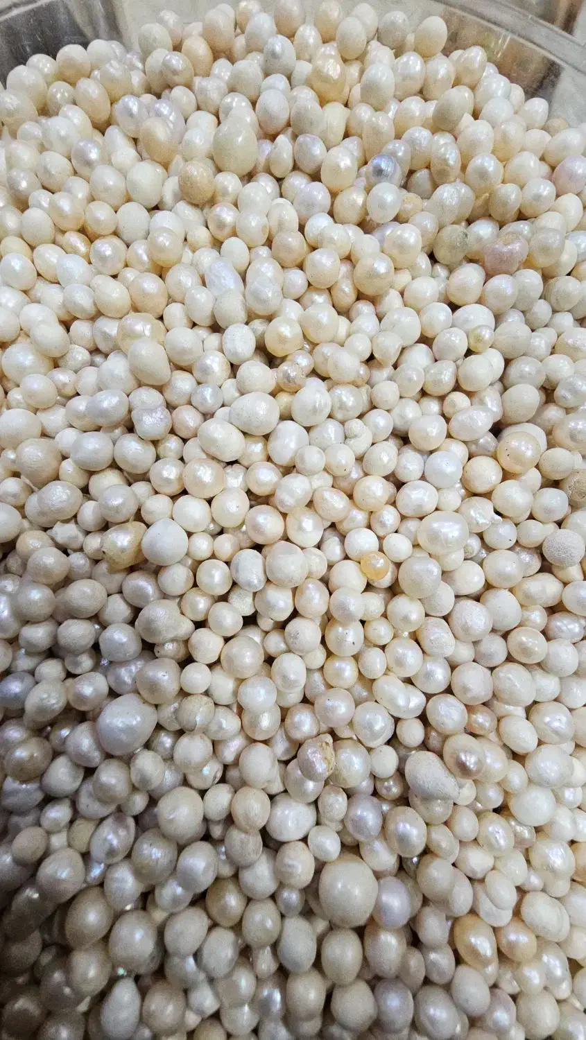 مروارید اصل|جواهرات|کرج, مجتمع صنفی صنعتی|دیوار