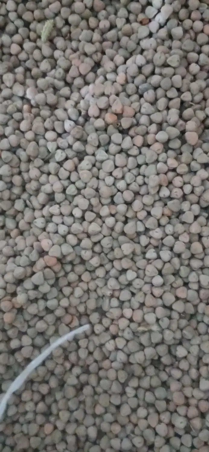 کوروشنه امسال درجه یک|لوازم جانبی حیوانات|اهر, |دیوار