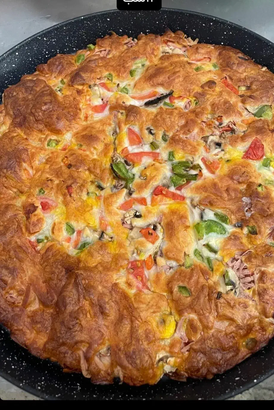 مستر پیتزا|خوردنی و آشامیدنی|ایوان, |دیوار