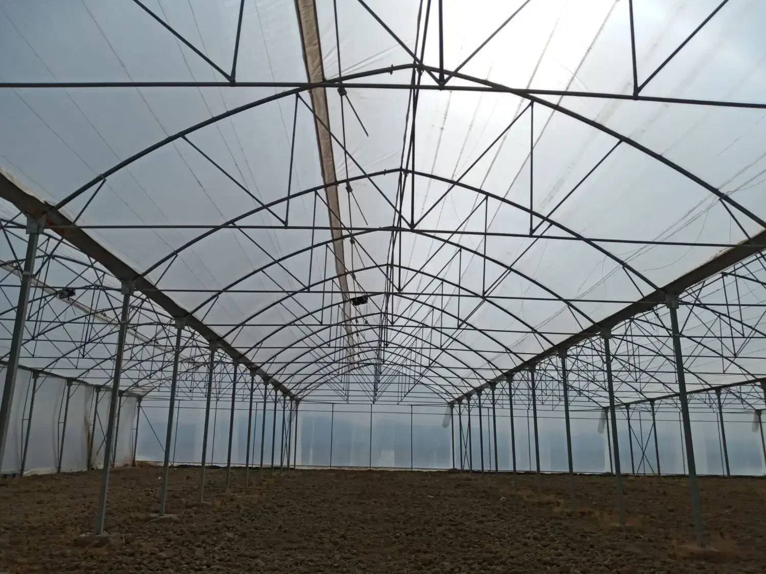 مشاره طراحی اجرا سازه گلخانه|خدمات باغبانی و درختکاری|رشت, کوی مهر|دیوار