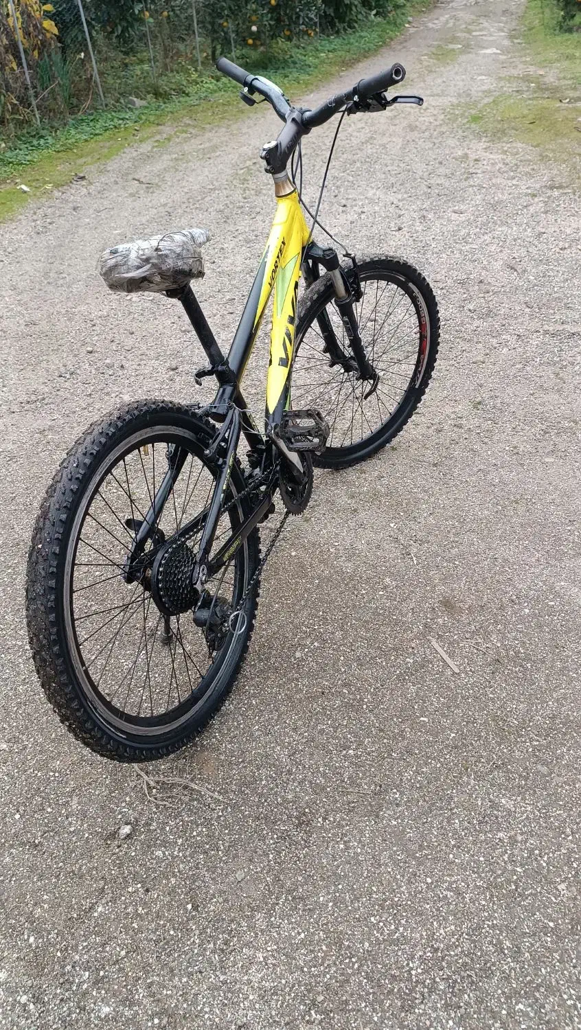 دو.چرخه ویوا 24|دوچرخه، اسکیت، اسکوتر|لیسار, |دیوار