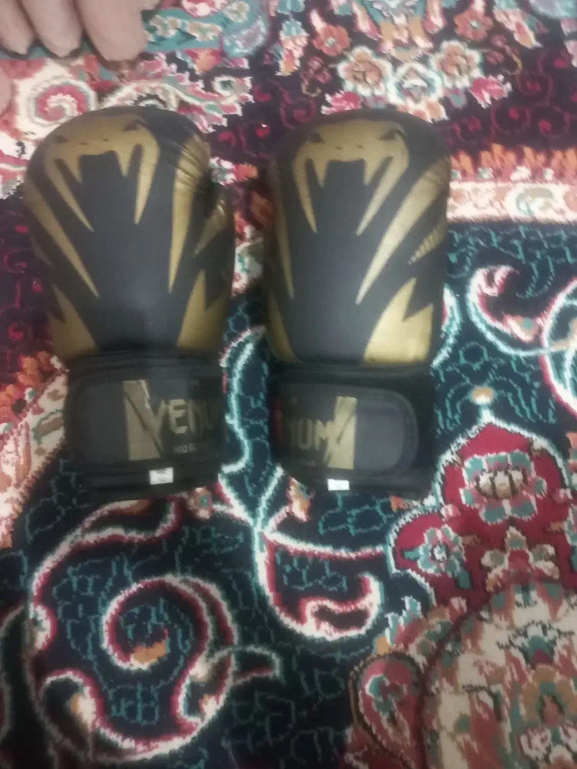 دستکش بوکس|تجهیزات ورزشی|بروجرد, |دیوار