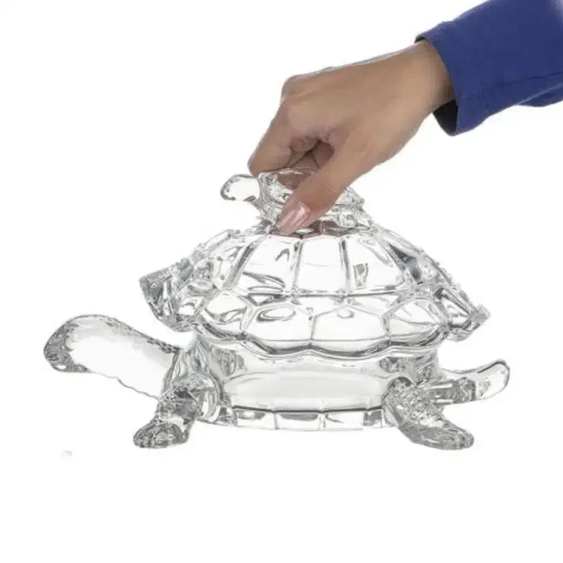 لاک پشت کریستال اصل چک|مجسمه، تندیس، ماکت|قم, بنیاد|دیوار