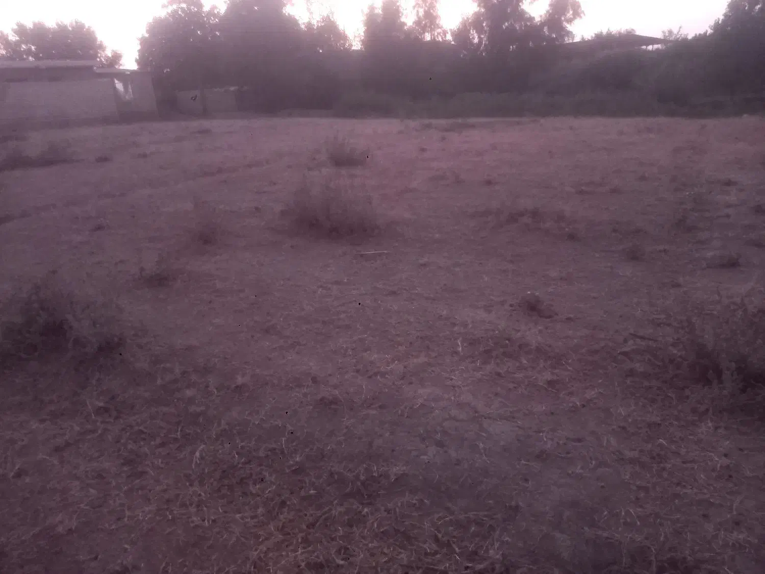 فروش زمین ۱۳۲ متری|فروش زمین و ملک کلنگی|آزادشهر, |دیوار