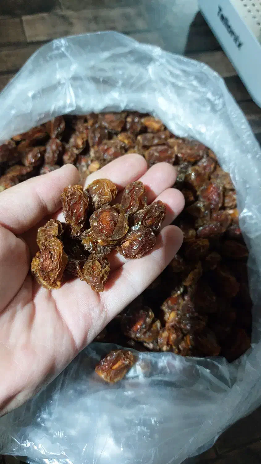 فروش آلو وبرگ زردآلو|خوردنی و آشامیدنی|یاسوج, |دیوار