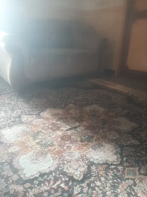 خدمات ونظافت در خانه|خدمات نظافت|زابل, |دیوار