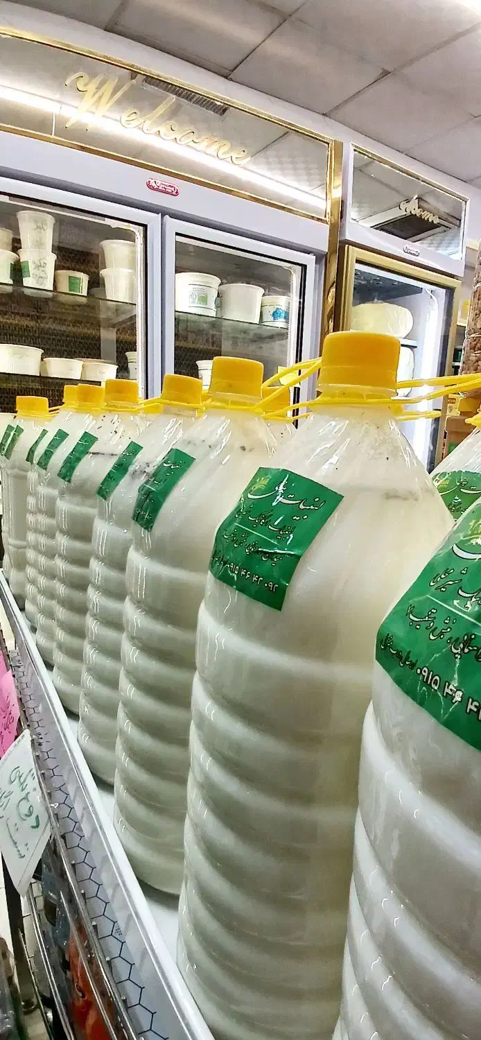 لبنیات گاوی و گوسفندی تازه مستقیم ازدامداری|خوردنی و آشامیدنی|مشهد, آبکوه|دیوار