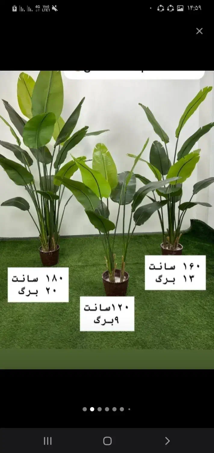 نخل درخچه|گل مصنوعی|تهران, مشیریه|دیوار