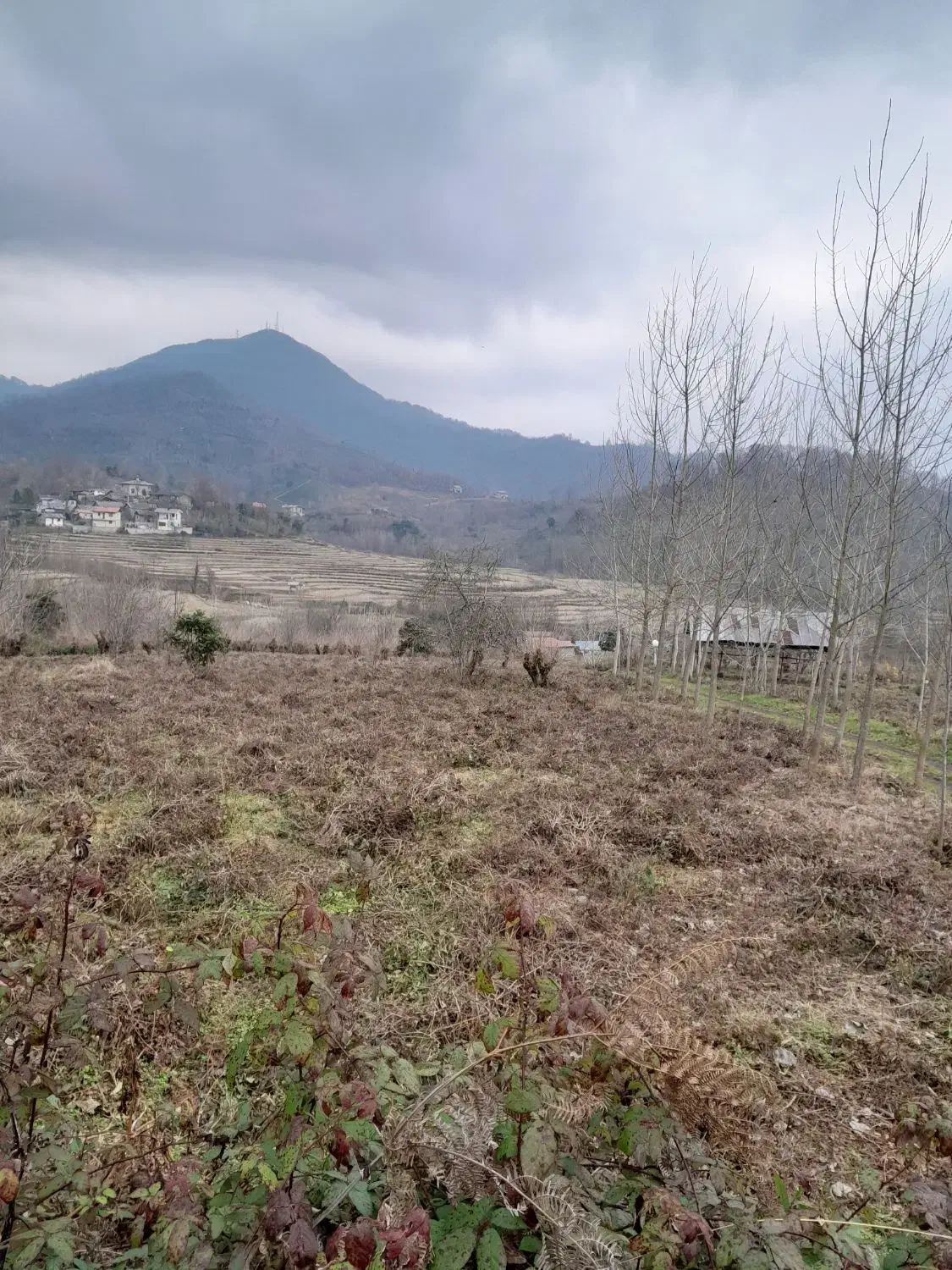 فروش زمین باغی۴۰۰۰متری/بر اسفالت/اطاقور|فروش زمین و ملک کلنگی|اطاقور, |دیوار