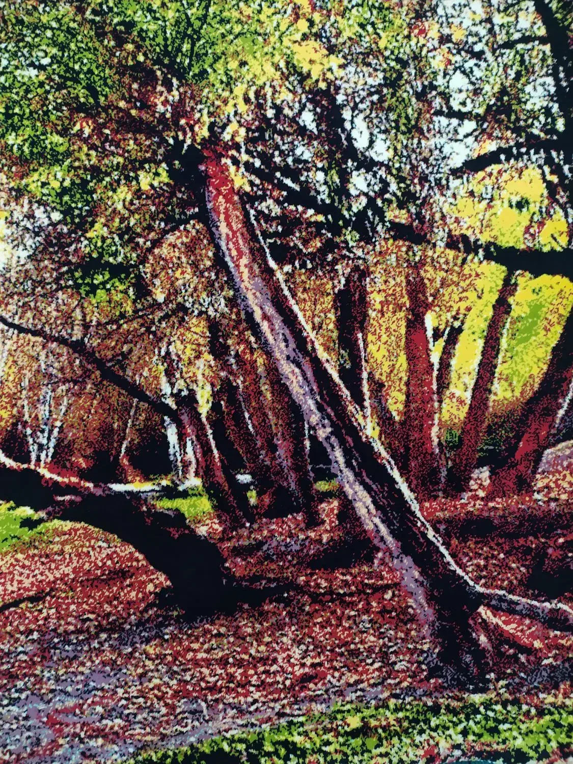 تابلو فرش و تابلو ایت الکرسی|تابلو فرش|رشت, یخسازی|دیوار