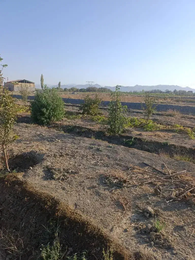 800 متر زمین باغ سند دار قلعه موتور|فروش دفتر صنعتی، کشاورزی، تجاری|گلپایگان, |دیوار