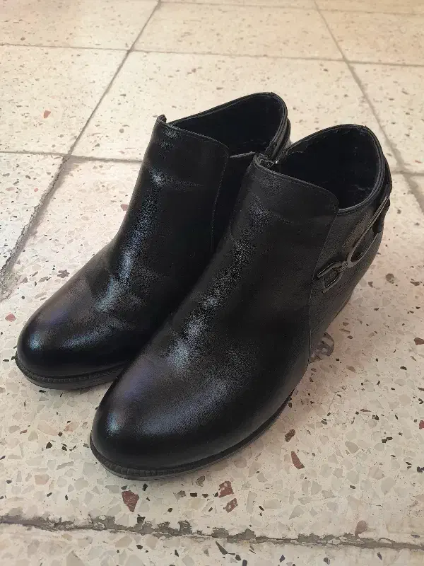 نیم بوت زنانه|کیف، کفش، کمربند|شاهین‌شهر, شهرک پردیس|دیوار