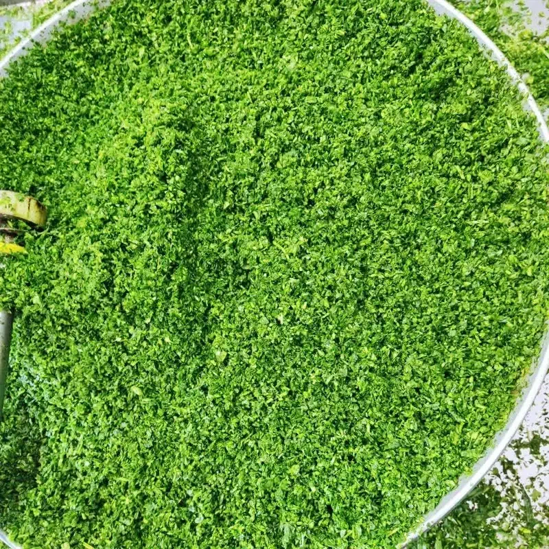 انواع سبزیهای خورشتی و آشی و کوکو شوید و سبزی ماهی|خوردنی و آشامیدنی|خرمشهر, |دیوار