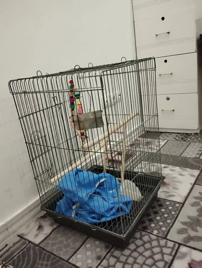 قفس ۱۰۳۳|لوازم جانبی حیوانات|اشتهارد, |دیوار