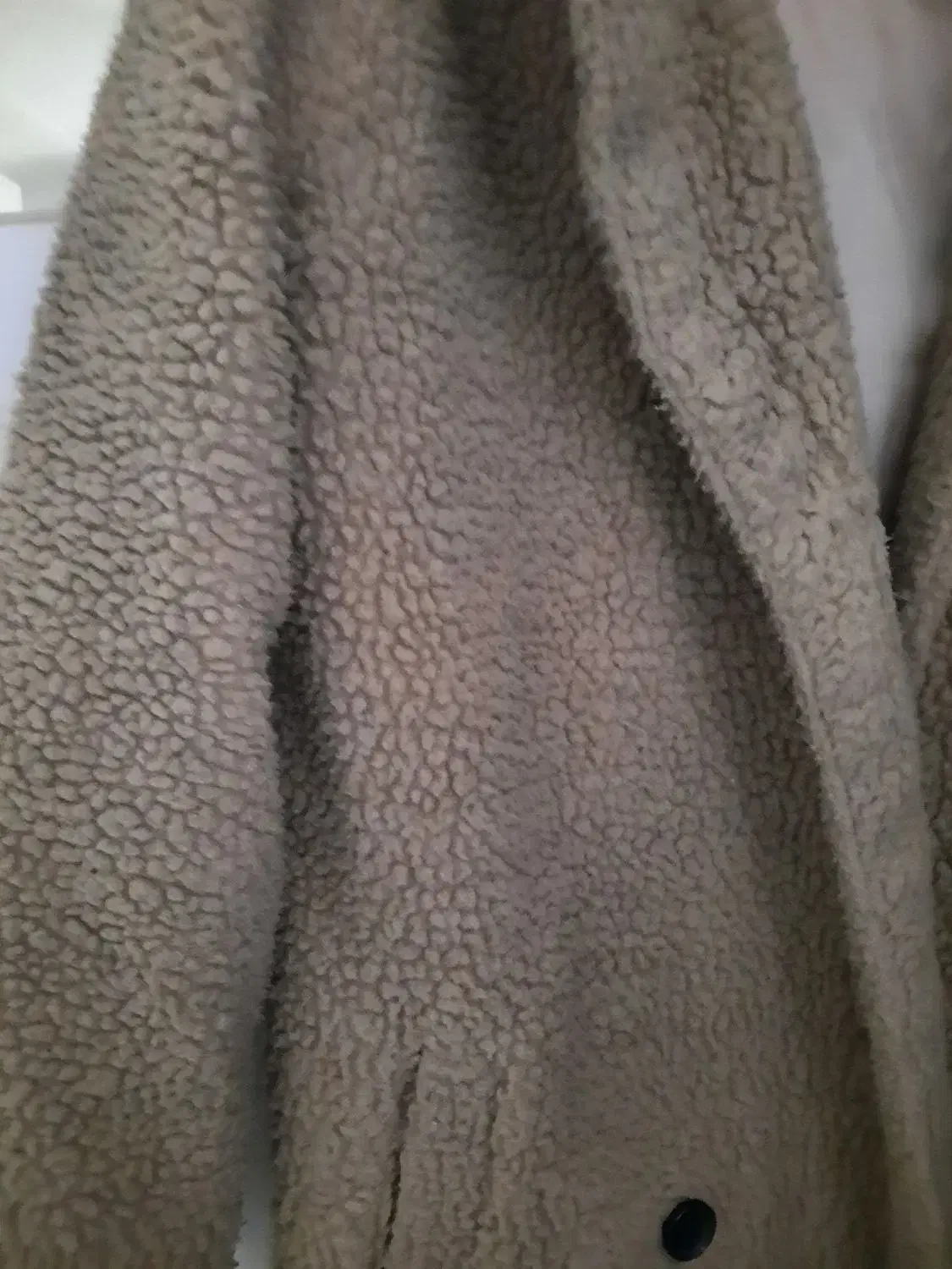 تدی|لباس|نوشهر, |دیوار