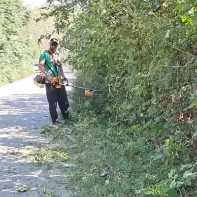 خدمات چمن زنی علف زنی علف تراشی حاشیه زنی|خدمات باغبانی و درختکاری|رشت, دیلمان|دیوار