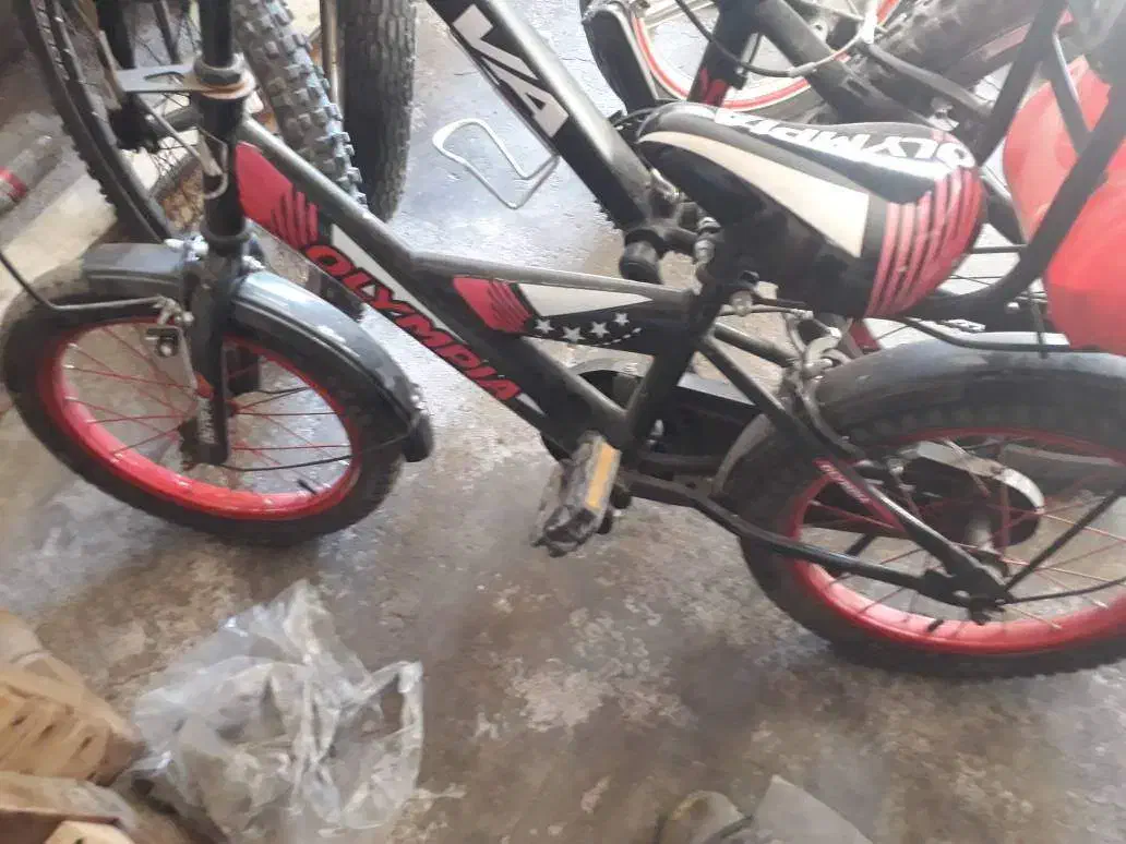 دوچرخه ۲۴ و ۲۰ نو|دوچرخه، اسکیت، اسکوتر|سبزوار, طبرسی (جعفرآباد)|دیوار