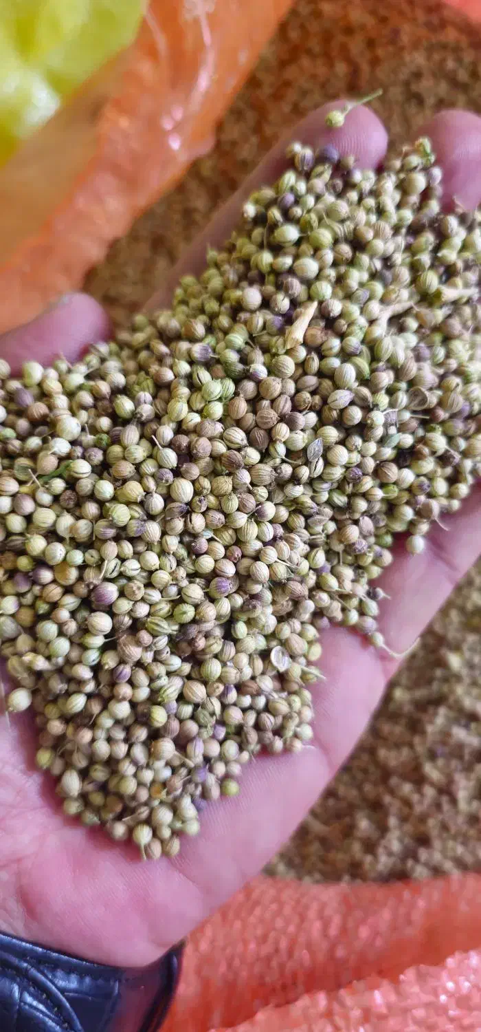 کارگر ساده برای عطاری|استخدام خدمات فروشگاه و رستوران|شیراز, لاله|دیوار