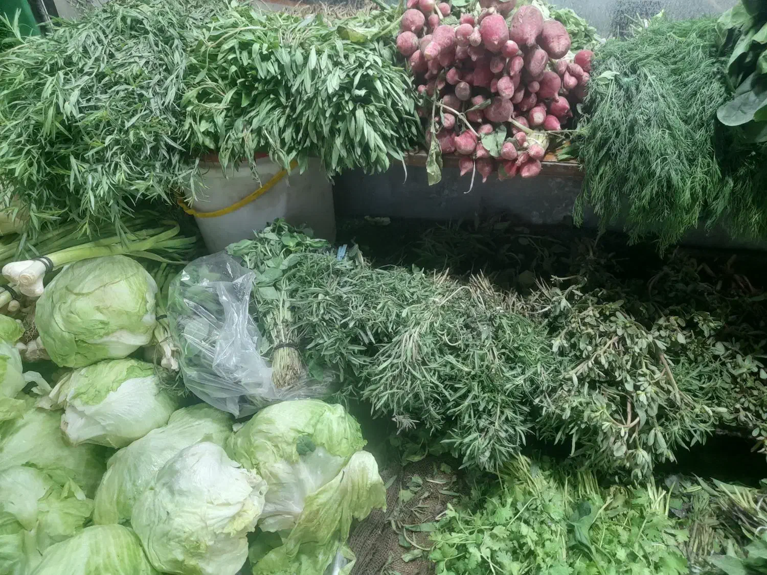 کارمند میوه فروشی حرفه ای آقا و خانم جهت فروشندگی|استخدام خدمات فروشگاه و رستوران|تهران, دروس|دیوار