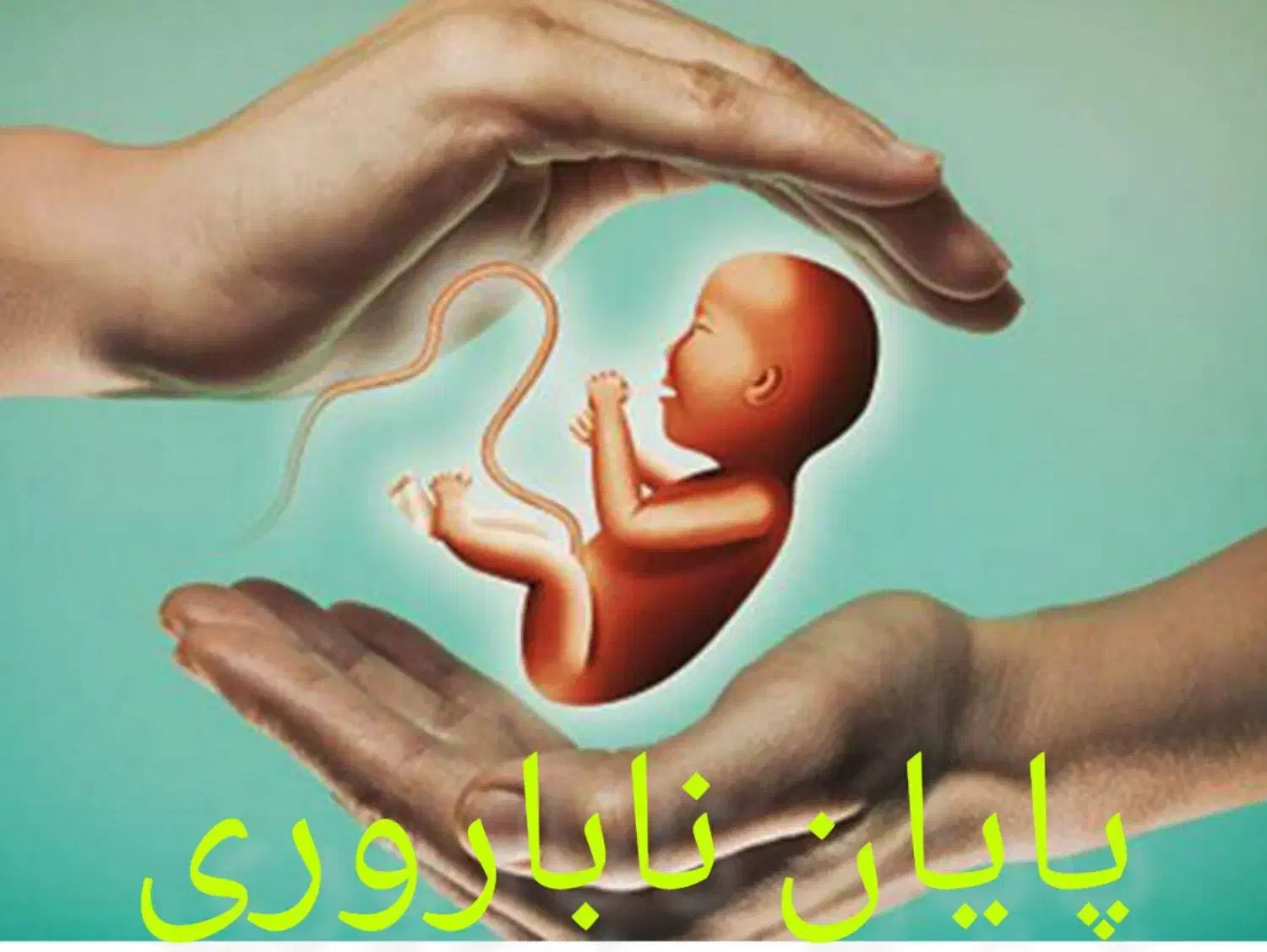 کار درمنزل برای بانوان|خدمات آموزشی|صدرا-فارس, فاز ۱|دیوار
