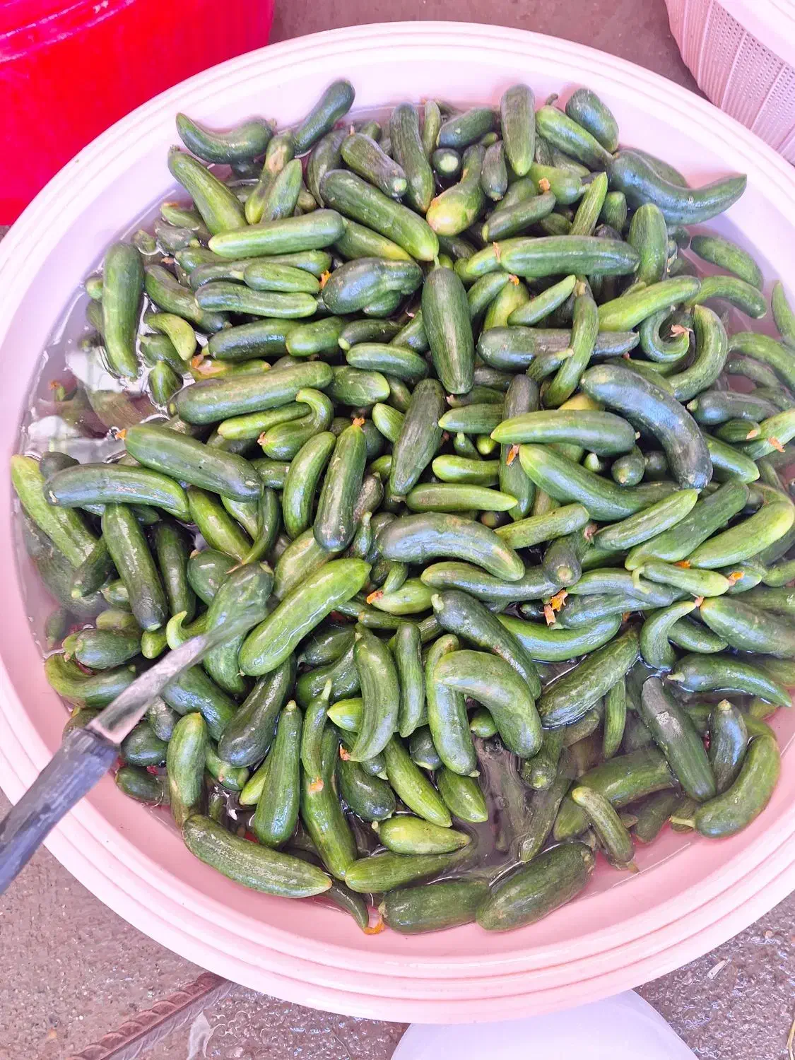 خیارشور خوشمزه وخوشطعم ممتاز،نول و سوپر ویژه|خوردنی و آشامیدنی|شیرینسو, |دیوار