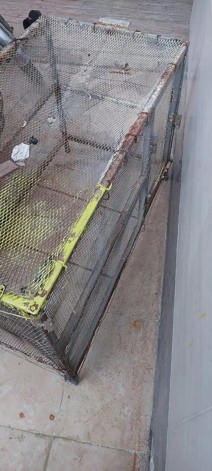 قفس فلزی محکم|لوازم جانبی حیوانات|امیدیه, |دیوار