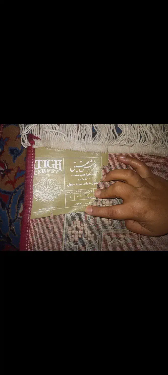 قالی ۱۲متری کرمانشاهی|فرش|شیراز, شهرک فرزانگان|دیوار