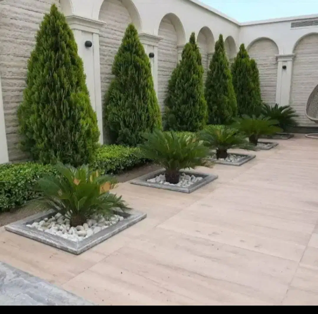 خدماتباغبانی هرسکاری سمپاشی رسیدگی گل آپارتمانی|خدمات باغبانی و درختکاری|تهران, تهرانپارس شرقی|دیوار