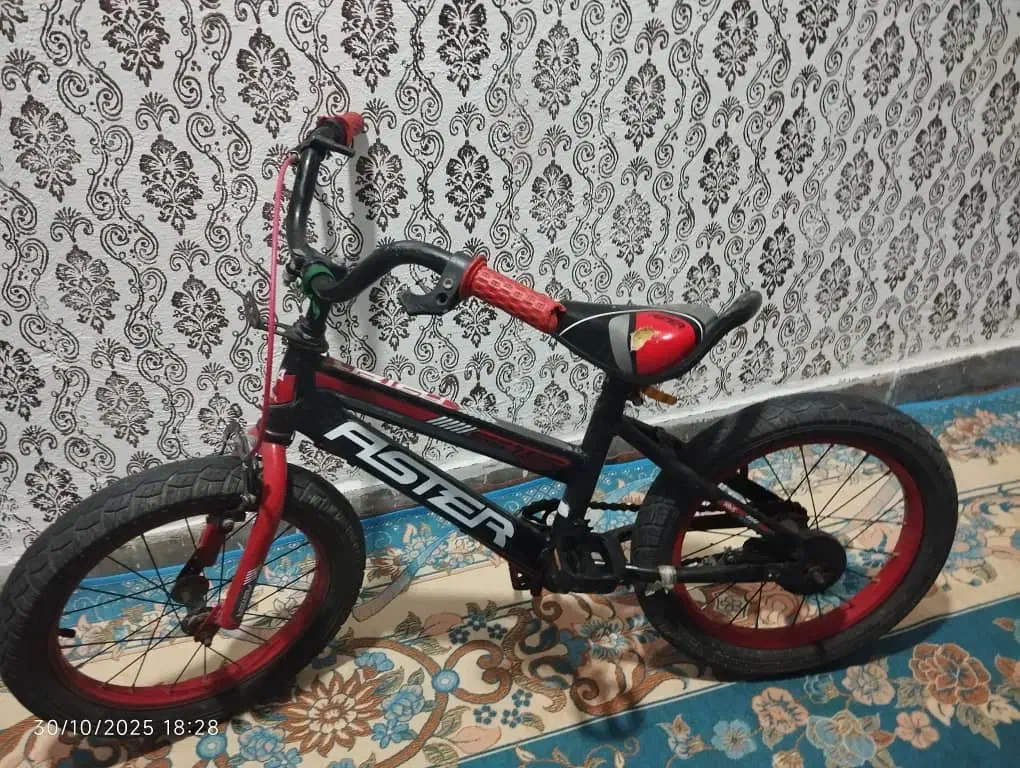 دوچرخه|دوچرخه، اسکیت، اسکوتر|میناب, |دیوار