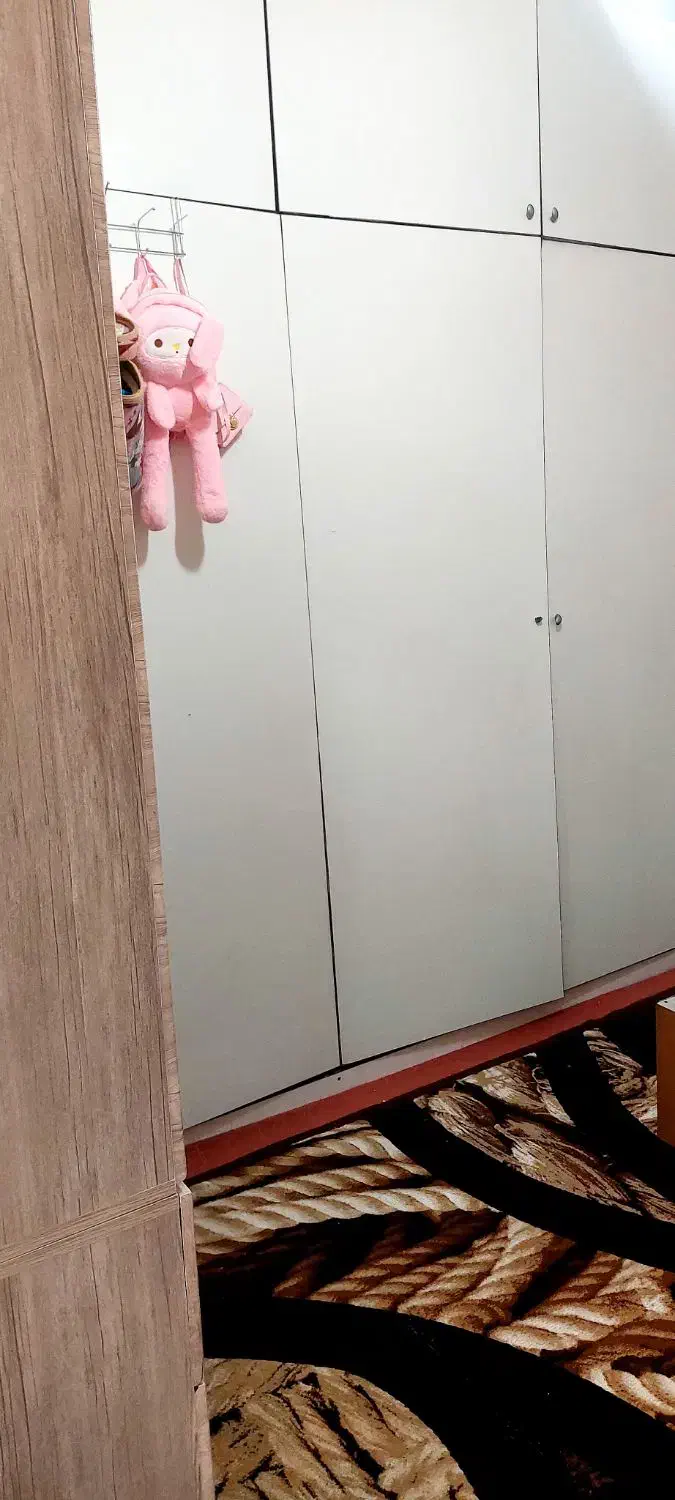 اجاره خانه درخیابان صبری تخلیه است|اجارهٔ آپارتمان|مشکین‌دشت, |دیوار