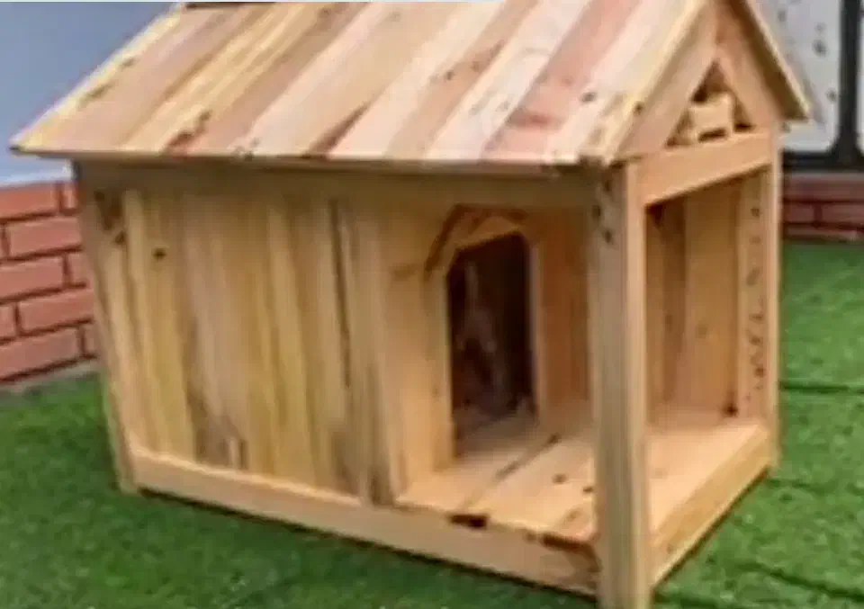 کلبه سگ|لوازم جانبی حیوانات|یزد, |دیوار