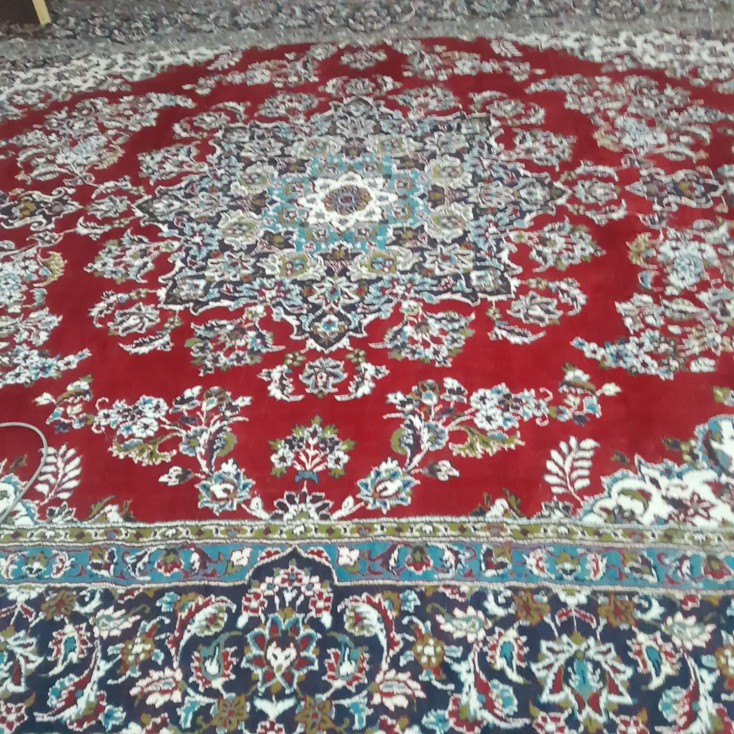 12متری|فرش|بیجار, |دیوار