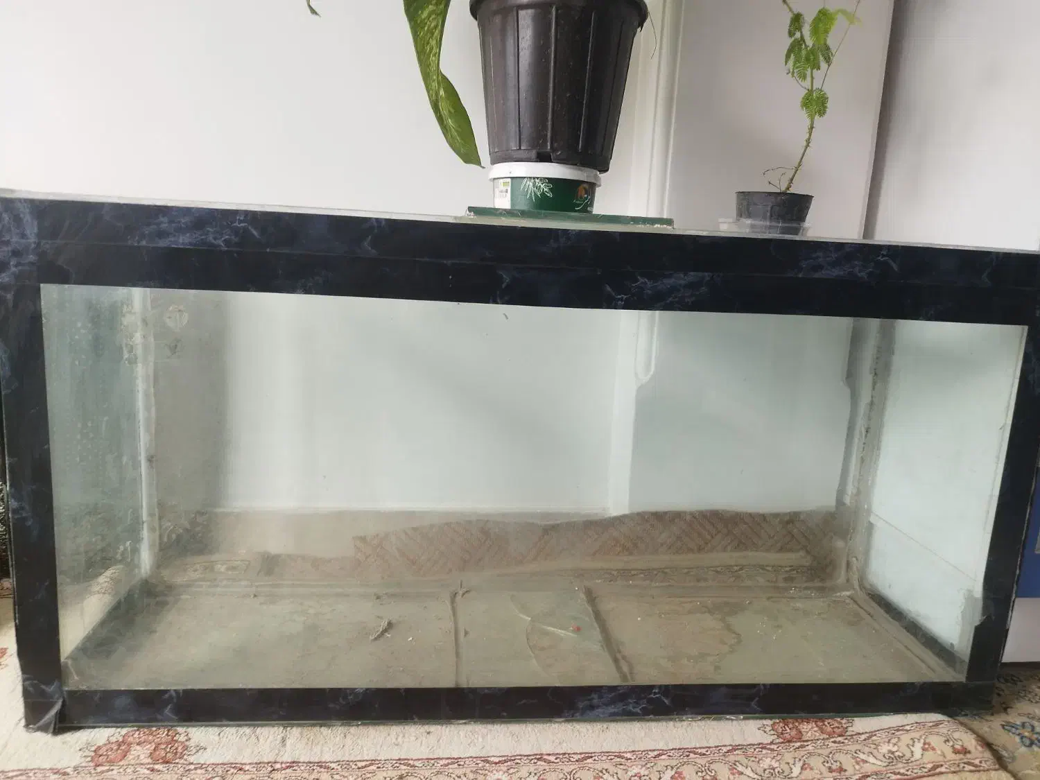 فروش آکواریوم کارکرده نیاز به تعمیر|ماهی|قم, پردیسان|دیوار