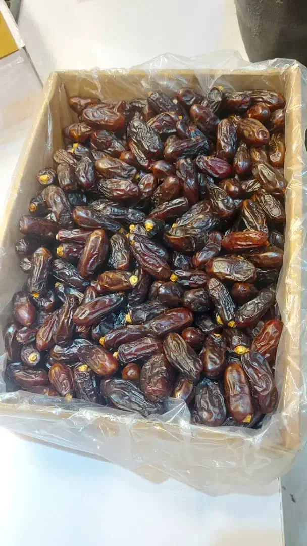 خرما|حراج|تهران, کرمان|دیوار