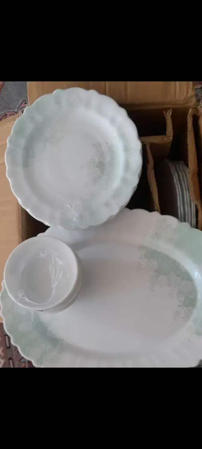 جارو برقی اکبند نو نو باکارتون ضمانت نامه وآرکوپال|جاروبرقی، جارو شارژی، بخارشو|سبزوار, عارف|دیوار