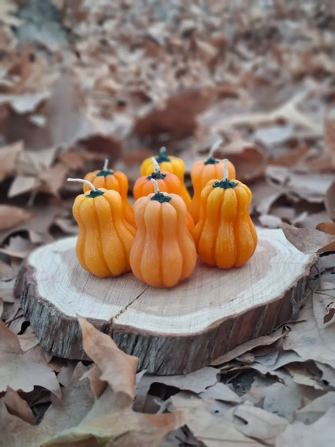 شمع یلدا|صنایع دستی و سایر لوازم تزئینی|بجنورد, |دیوار