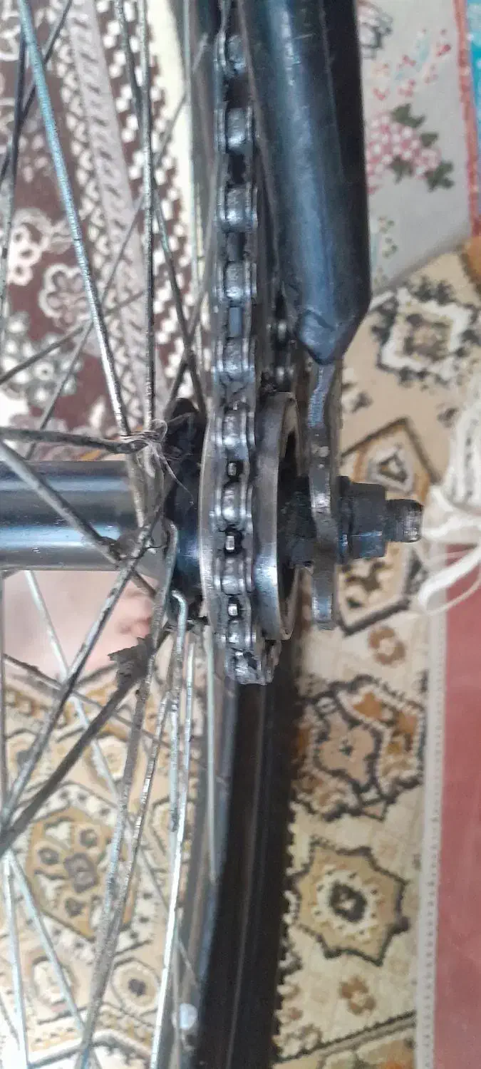 دوچرخه ۲۴|دوچرخه، اسکیت، اسکوتر|گرگان, |دیوار