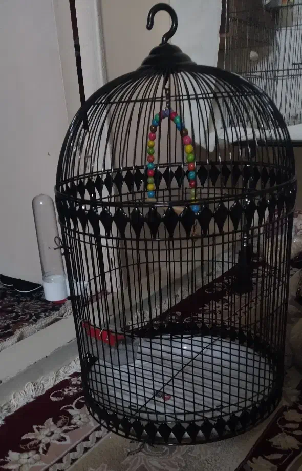 قفس گرد|لوازم جانبی حیوانات|مشهد, محمدآباد|دیوار