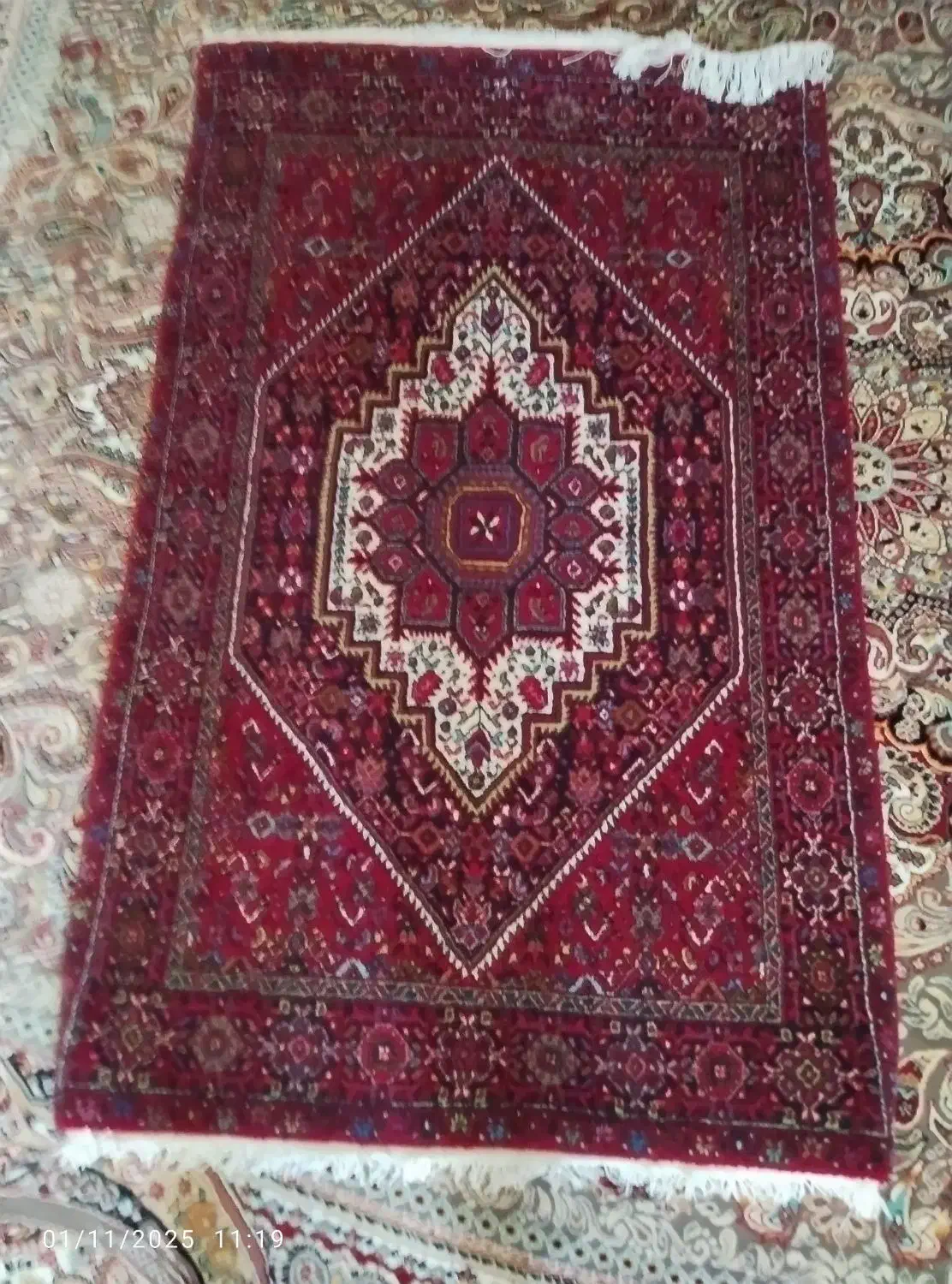 فرش دستباف زرنیم|فرش|زنجان, |دیوار