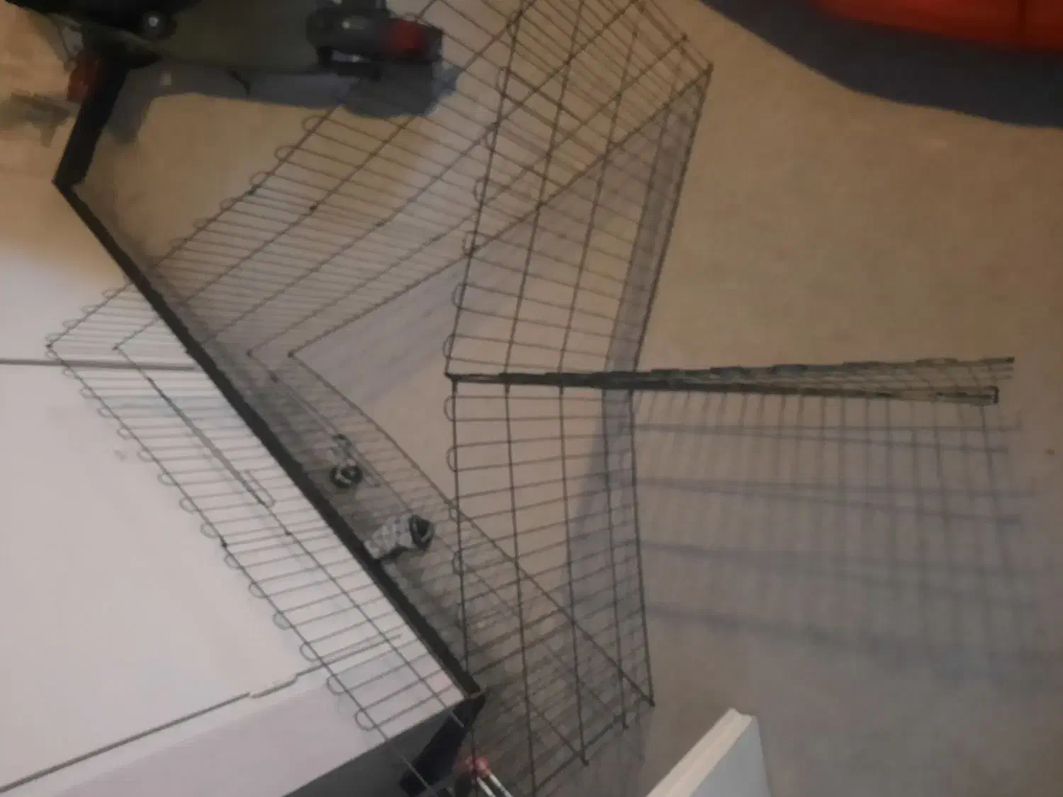 پارک سگ|لوازم جانبی حیوانات|کرج, فاز ۲ مهرشهر|دیوار