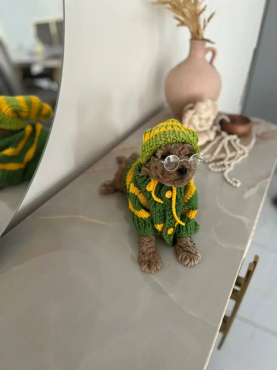 تاینی پودل|سگ|محمدشهر, محمدشهر|دیوار