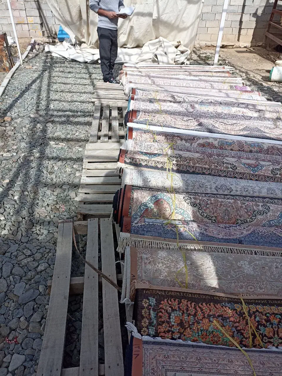 قالیشویی ( قالی شویی ) چشمه|خدمات نظافت|سنندج, |دیوار